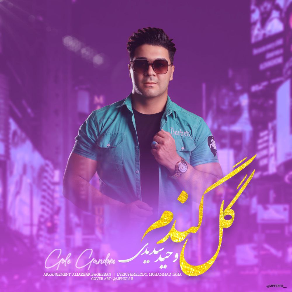 دانلود آهنگ جدید وحید سدیدی به نام گل گندم