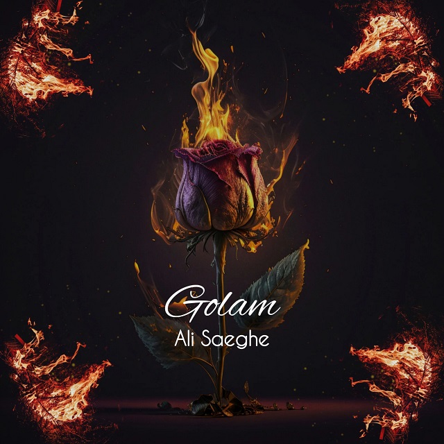 دانلود آهنگ جدید علی صاعقه به نام گلم