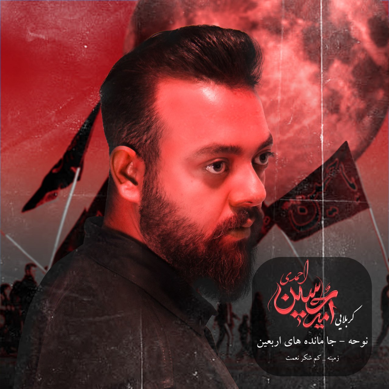 دانلود نوحه جدید کربلایی امیرحسین احمدی به نام شکر نعمت