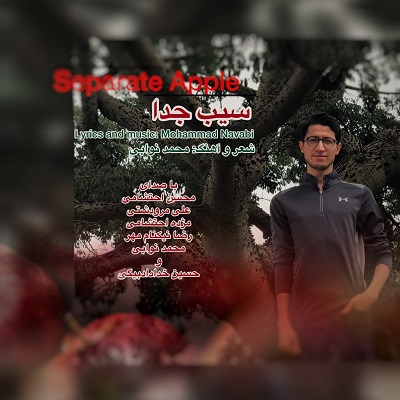 دانلود آلبوم جدید محمد نوابی به نام سیب جدا