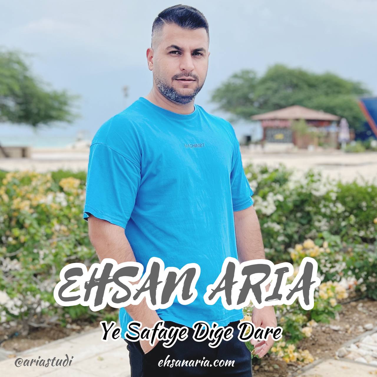 دانلود آهنگ جدید احسان آریا به نام یه صفای دیگه داره