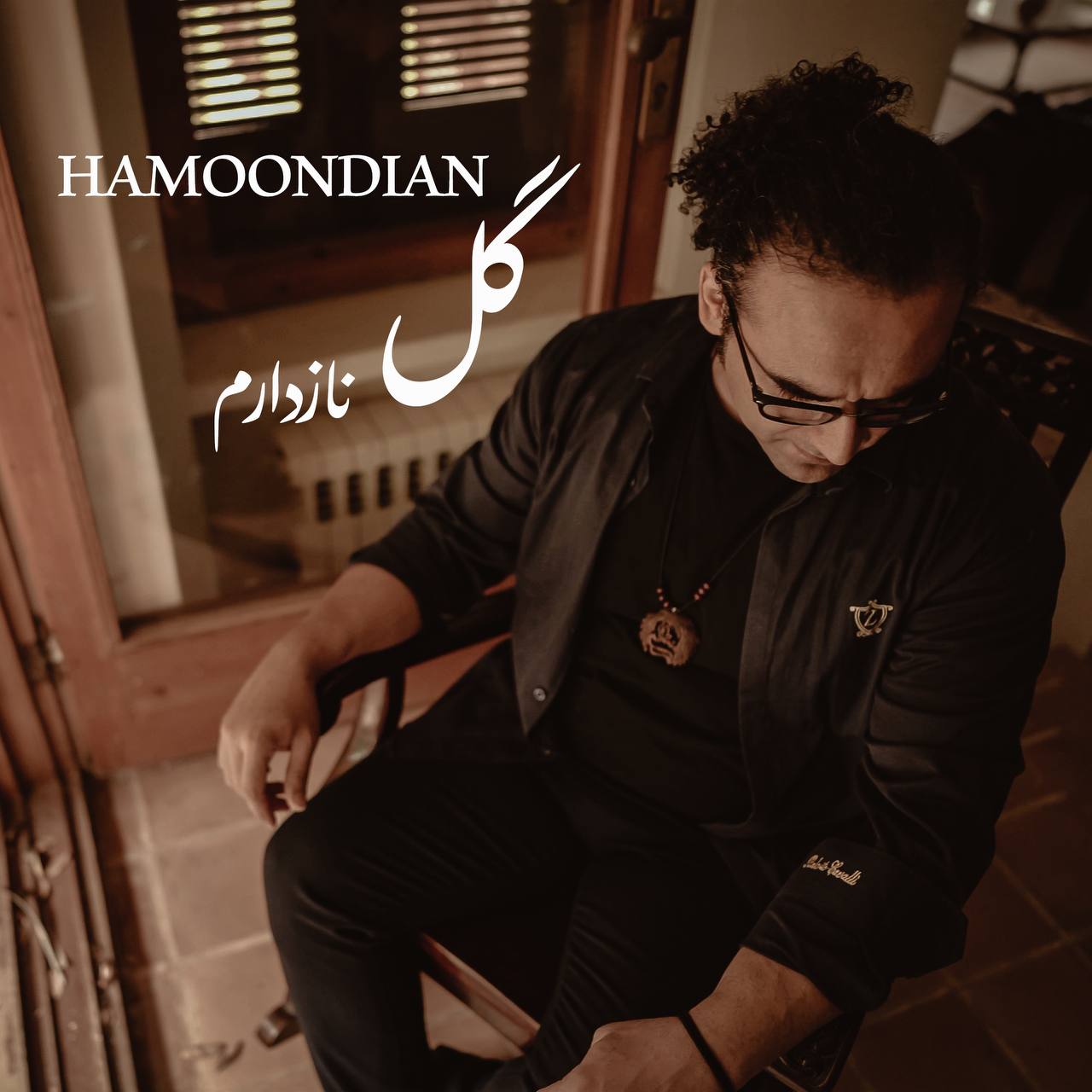 دانلود آهنگ جدید هامون دیان به نام گل نازدارُم