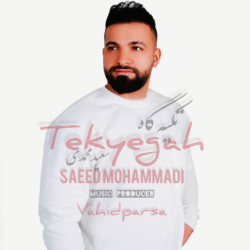 دانلود آهنگ جدید سعید محمدی به نام تکیه گاه