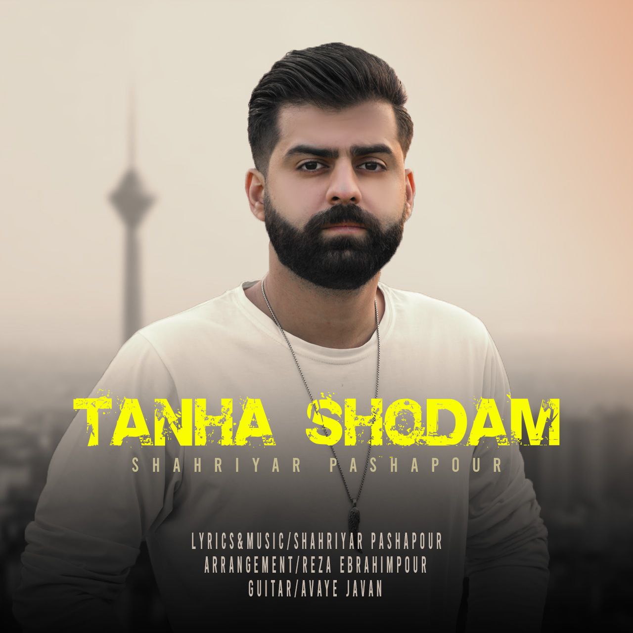 دانلود آهنگ جدید شهریار پاشاپور به نام تنها شدم