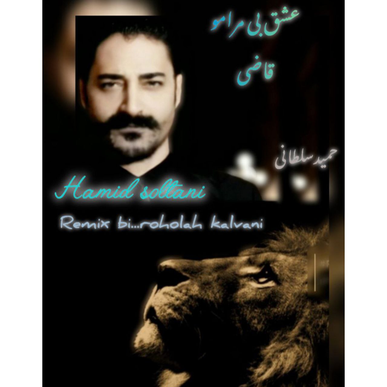 دانلود آهنگ جدید حمید سلطانی به نام عشق بی مرامو قاضی (ریمیکس)