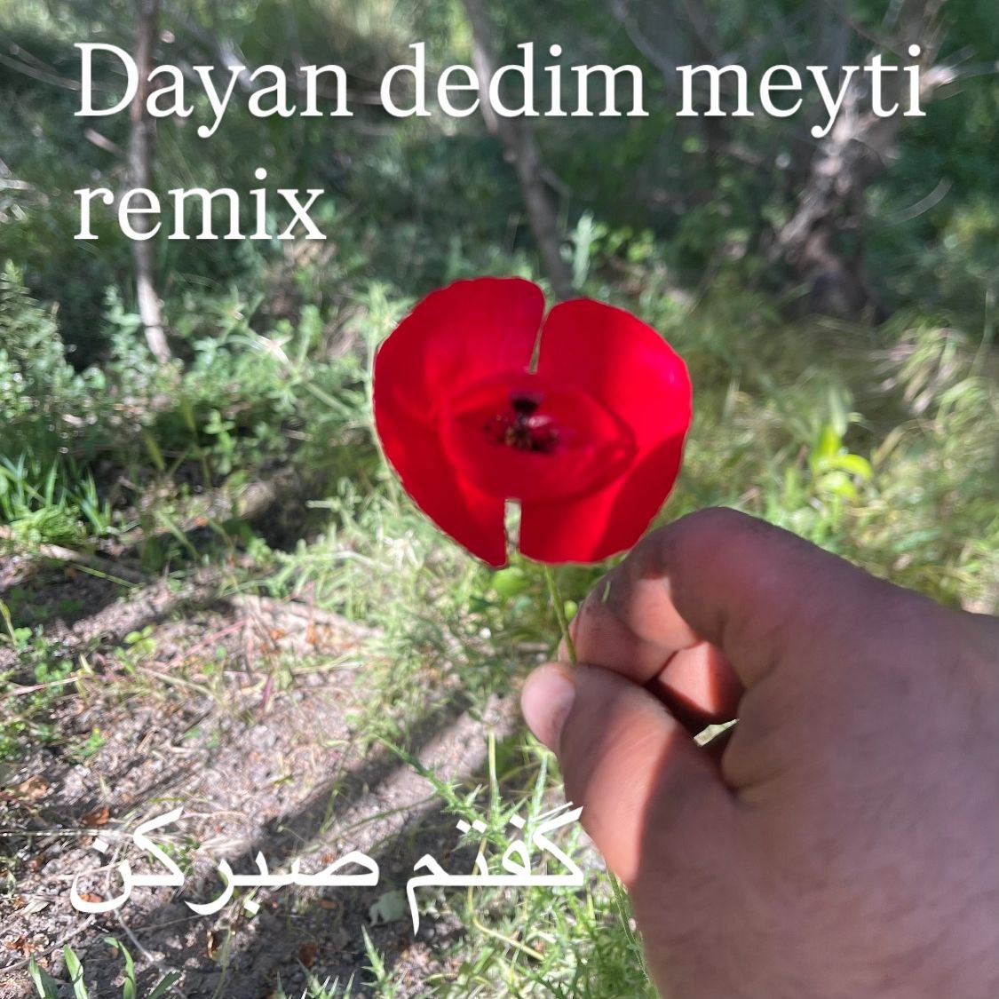 دانلود آهنگ جدید میتی دیپ به نام گفتم صبر کن (ریمیکس ترکی)