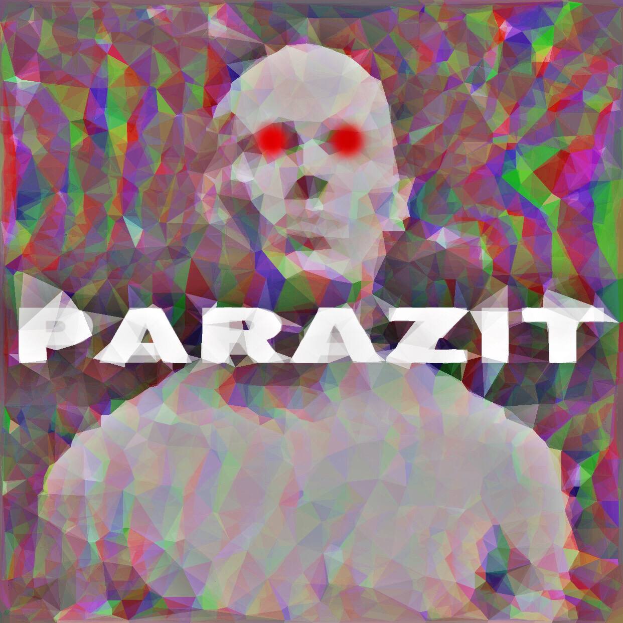 دانلود آهنگ جدید سینا انعکاس به نام پارازیت