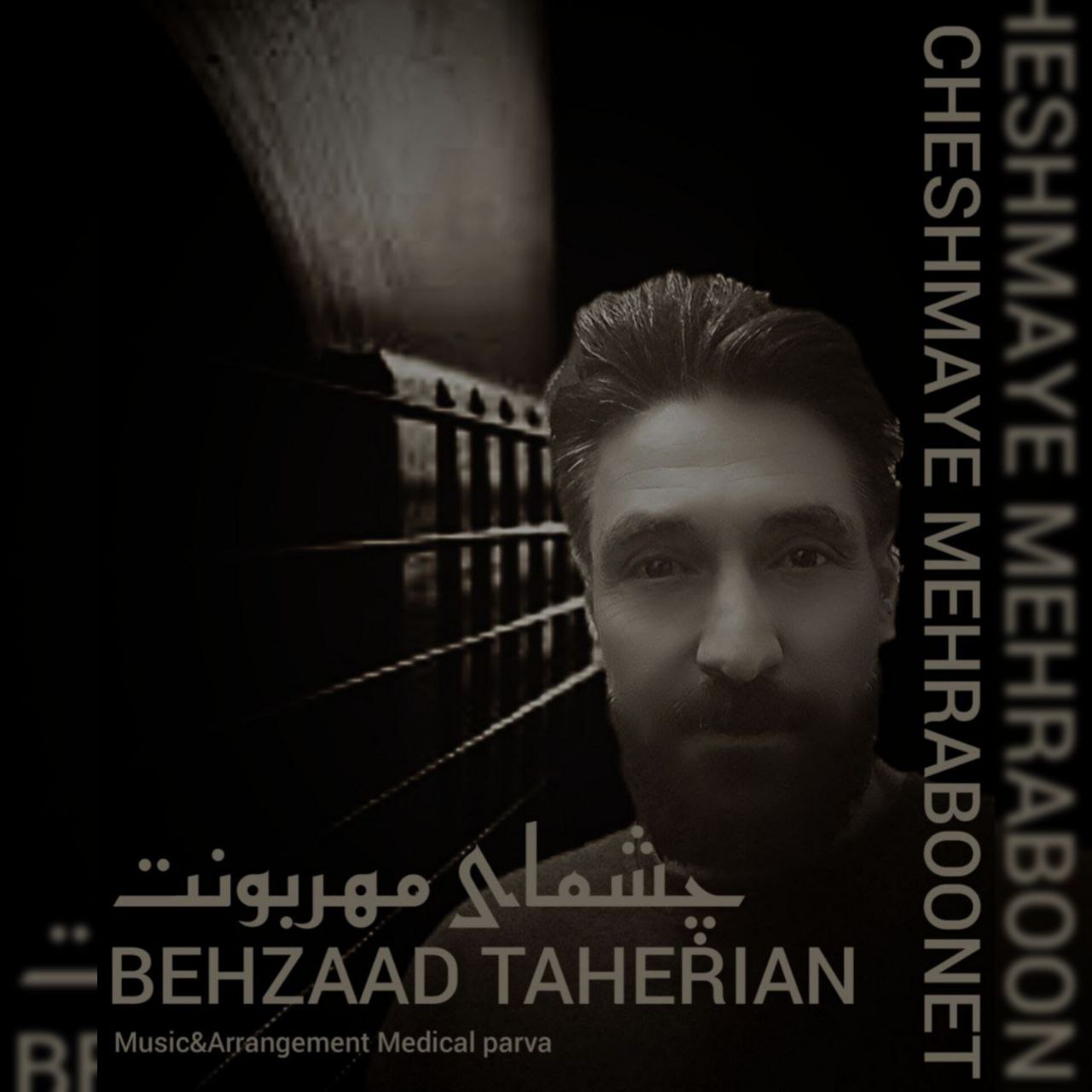 دانلود آهنگ جدید بهزاد طاهریان به نام چشمای مهربونت