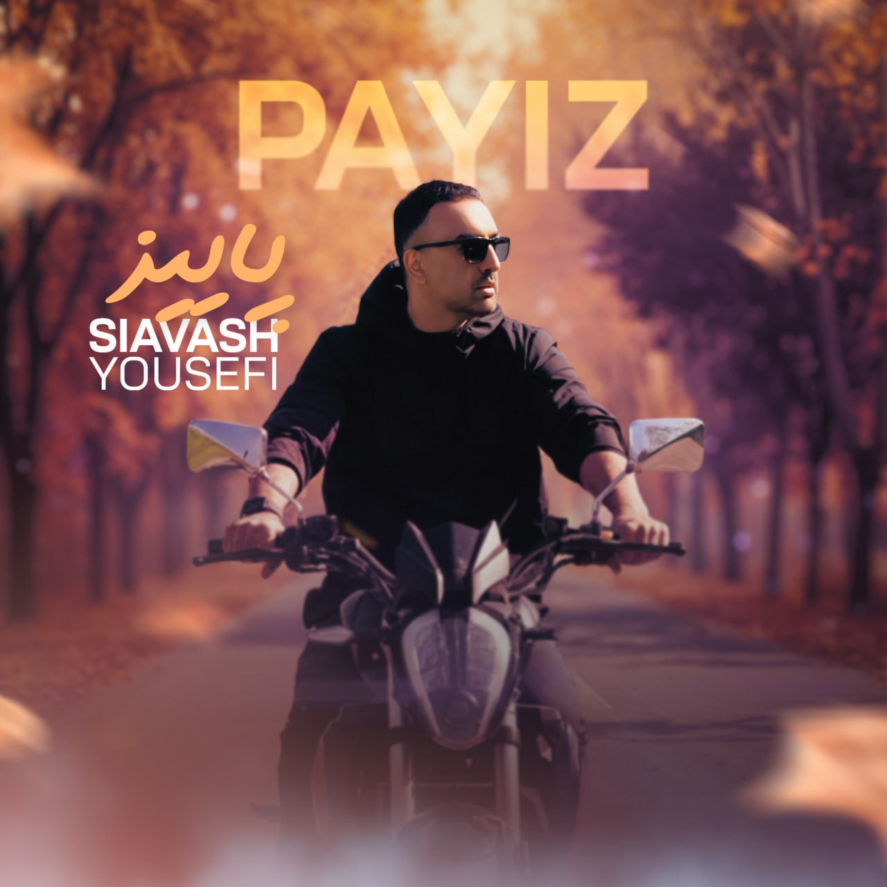 دانلود آهنگ جدید سیاوش یوسفی به نام پاییز